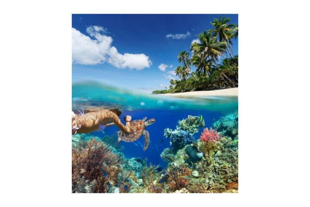 Bleu Verde Sanctuary Zone, Turtle Point Beach Gili Trawangan Exterior foto